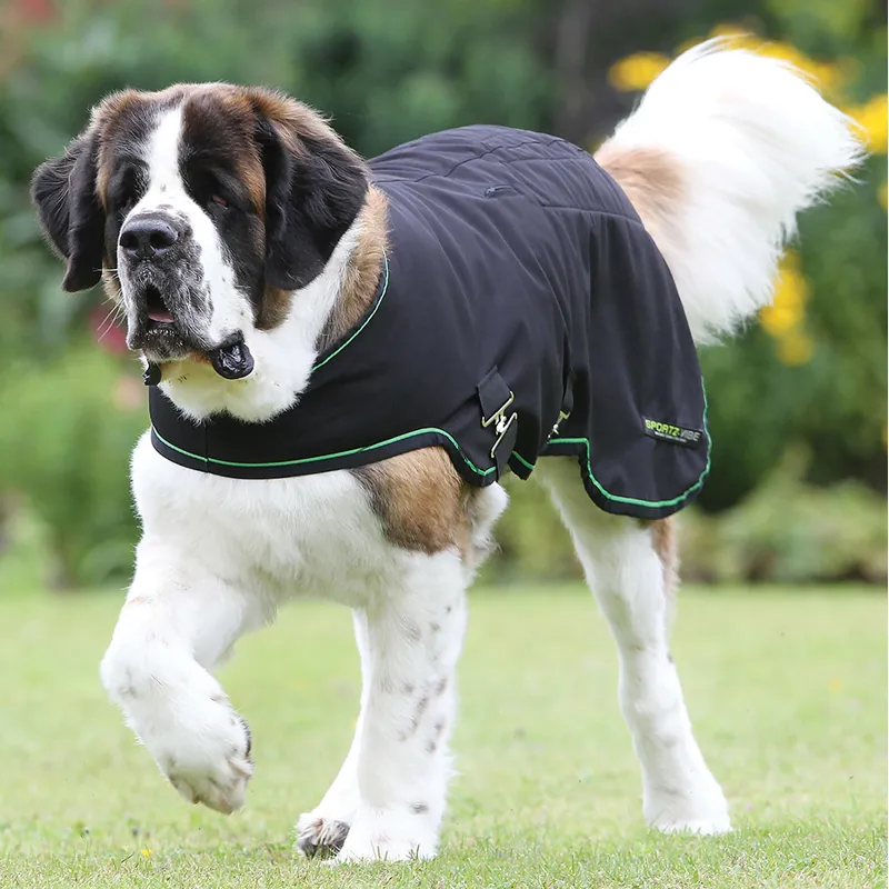 Horseware Sportz-Vibe Massage Dog Rug - Black-1