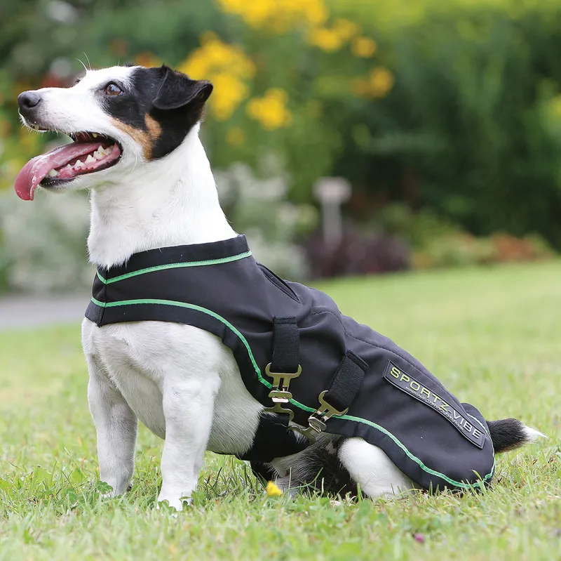 Horseware SportzVibe Massage Dog Rug Black