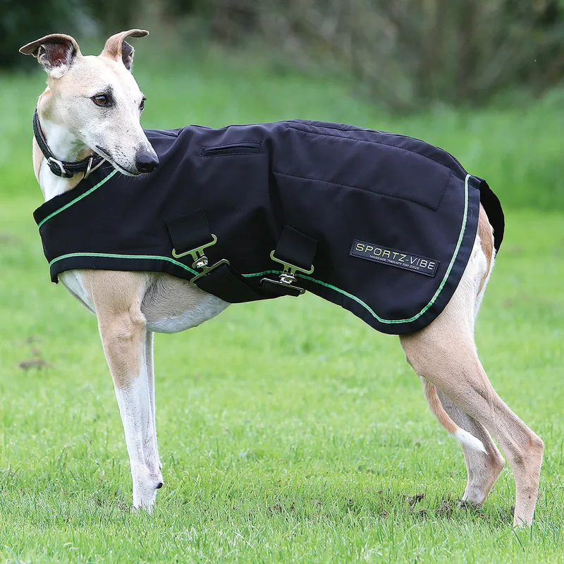 Horseware Sportz-Vibe Massage Dog Rug - Black