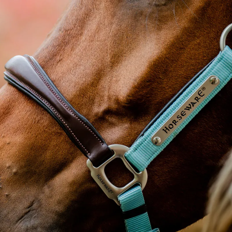 Horseware Signature Competition Headcollar - Brown/Blue Haze-2