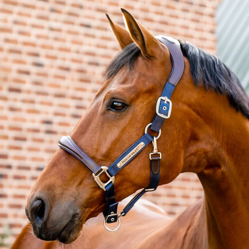 Horseware Signature Competition Headcollar - Brown/Navy