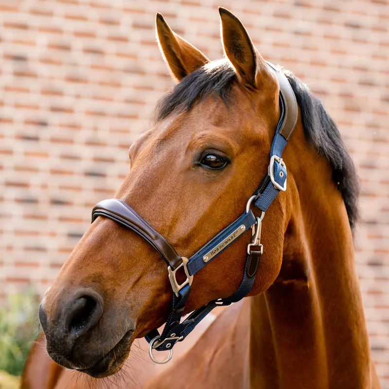 Horseware Signature Competition Headcollar - Brown/Navy-1