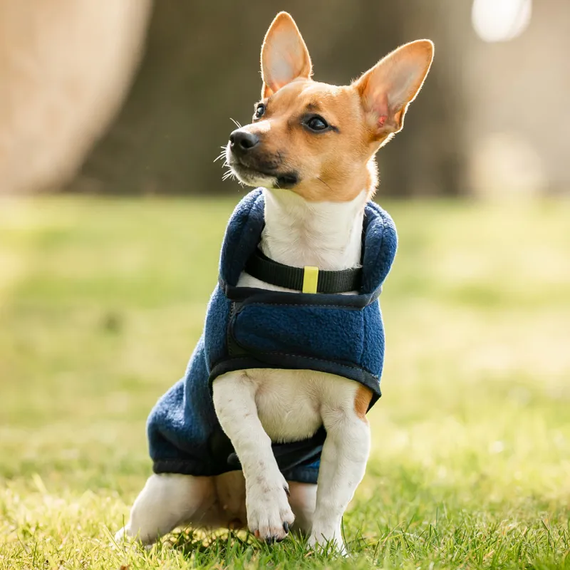 Horseware Signature Dog Fleece - Navy-2