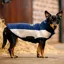 Horseware Signature Dog Fleece - Whitney Navy