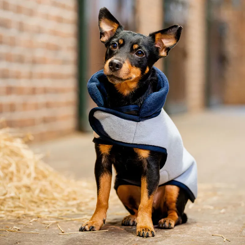 Horseware Signature Dog Fleece - Whitney Navy-1