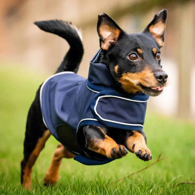 Horseware Signature Dog Rain Coat - Navy-1