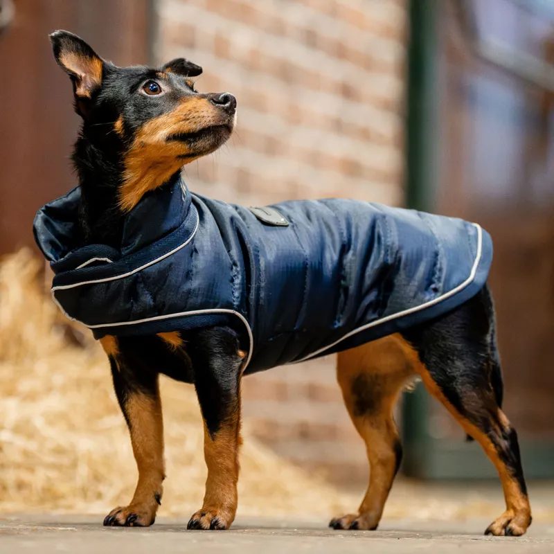 Horseware Signature Dog Rug - Navy