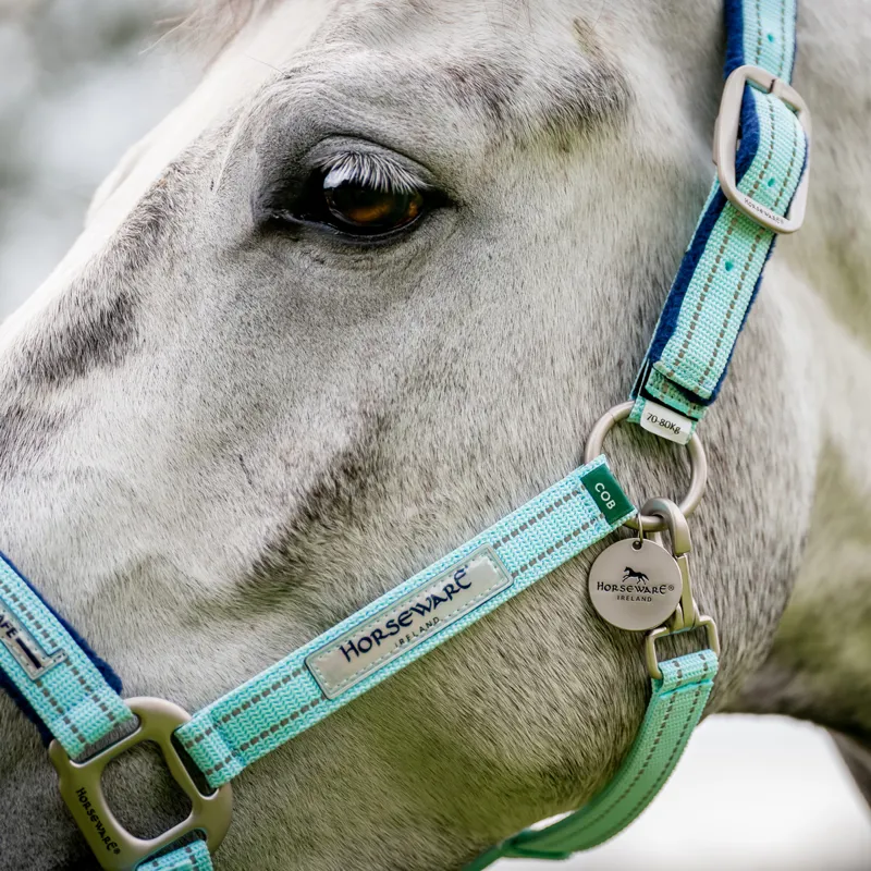 Horseware Field Safe Headcollar - Blue Haze-2