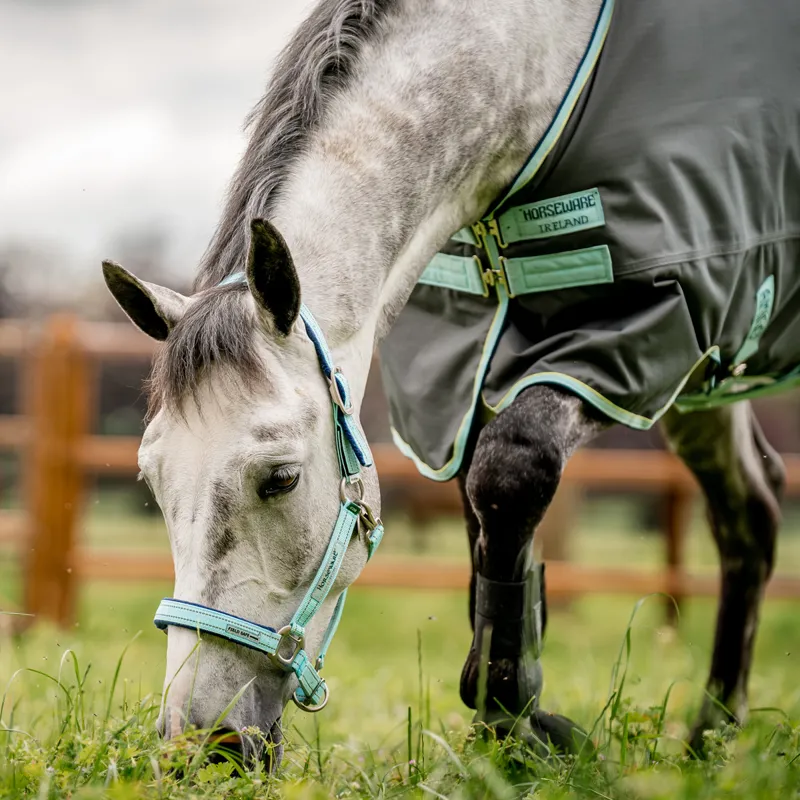 Horseware Field Safe Headcollar - Blue Haze-4