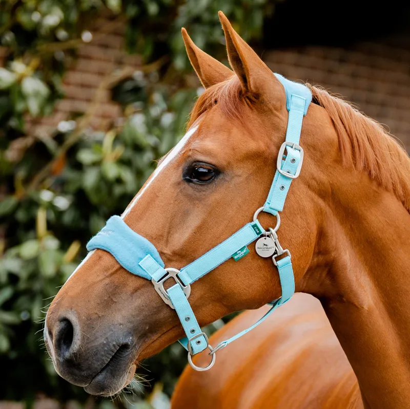 Horseware Signature Grooming Headcollar - Blue Haze