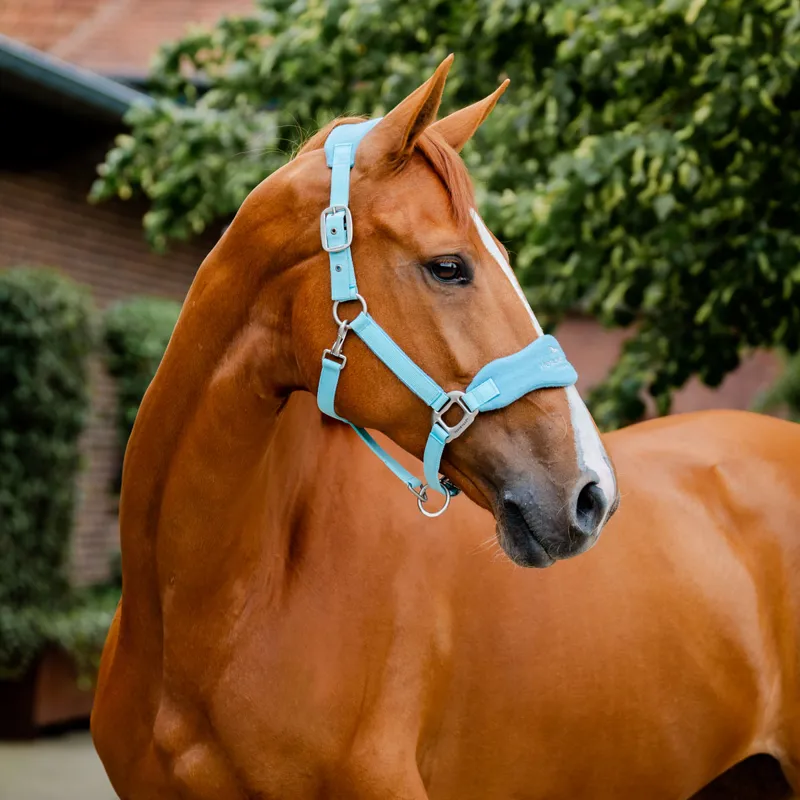 Horseware Signature Grooming Headcollar - Blue Haze-1