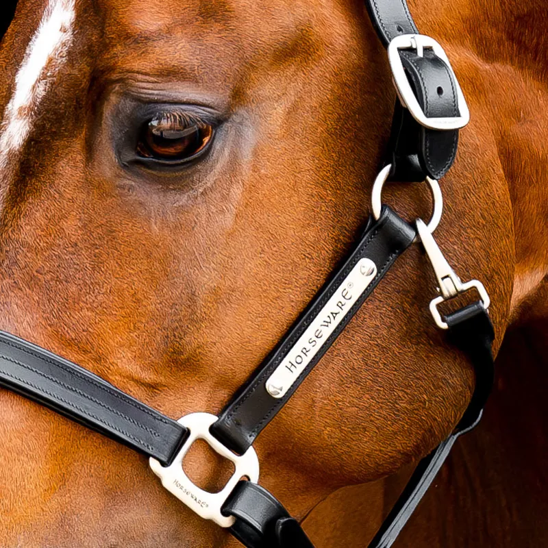 Horseware Signature Leather Headcollar - Black-1