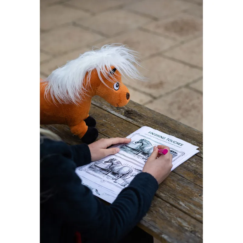 Hy Equestrian Thelwell A4 Activity Book-2