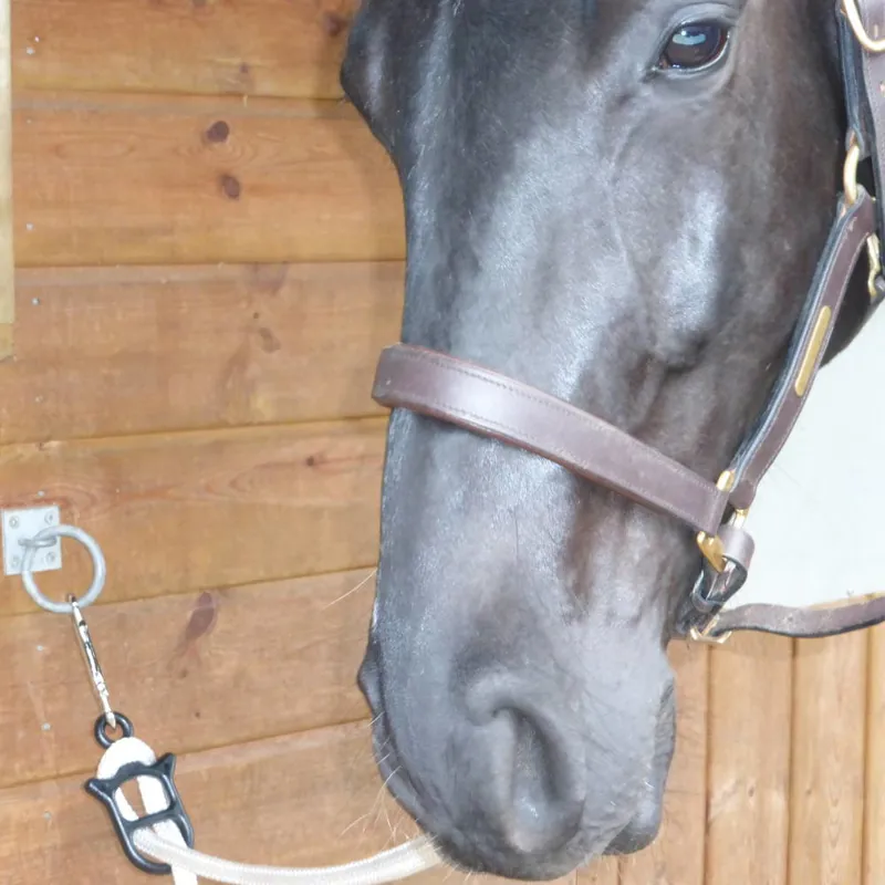 Idolo Tether Tie - Various Colours-2