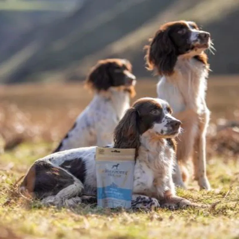 The Innocent Hound Dental Support Dog Treats - Aniseed/Citrus Extract-4