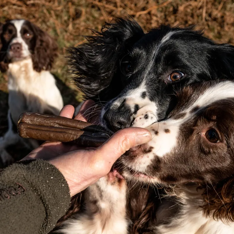 The Innocent Hound Dental Support Dog Treats - Aniseed/Citrus Extract-3