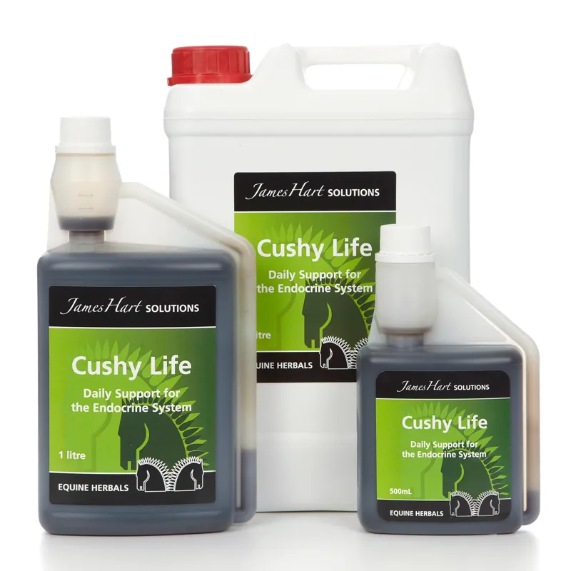 James Hart Cushy Life Solution