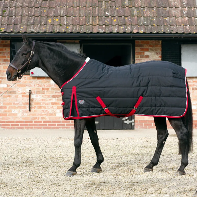 Конюшня solana stables. Стойло для лошади. Кобылячьи конюшни. Stable line. Оствинд денник.