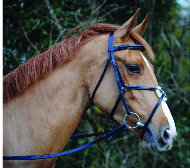 John Whitaker JW21 Mexican Grackle Bridle with Rubber Reins Black Full
