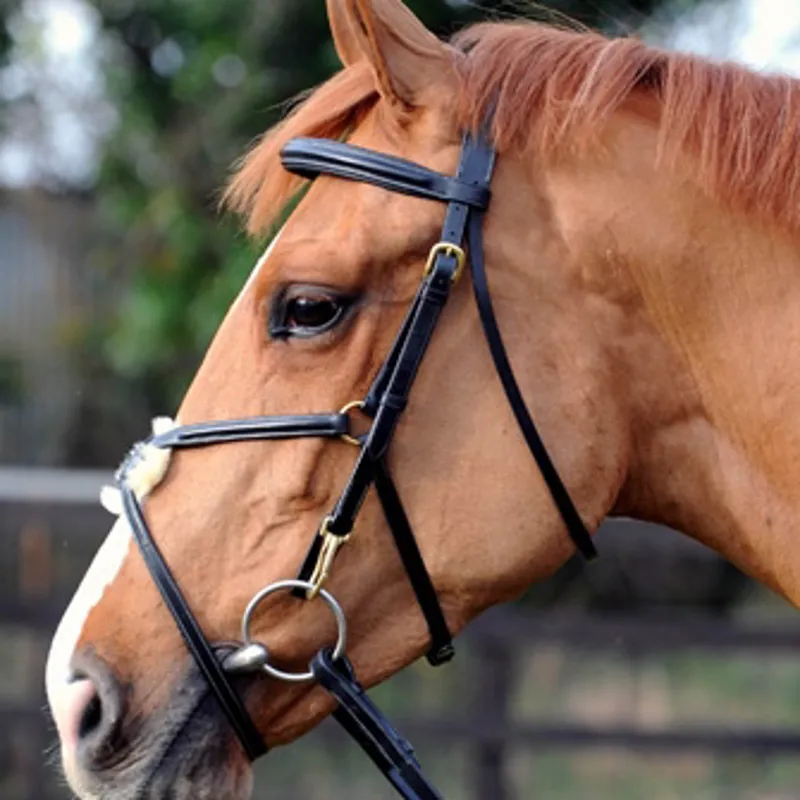 Figure of 8 Noseband Bridle free Reins FULL Black New Deluxe Mexican Grackle