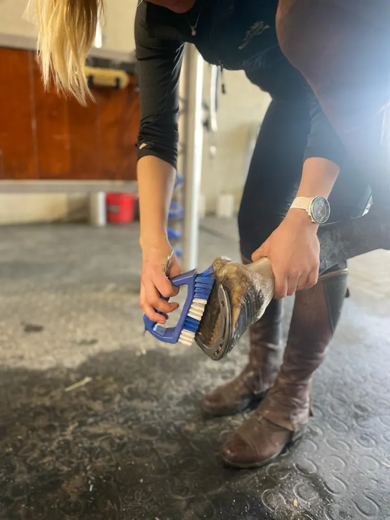 Kelcie's Hoof Pickbrush - Blue-2