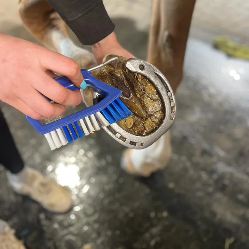 Kelcie's Hoof Pickbrush - Blue-1