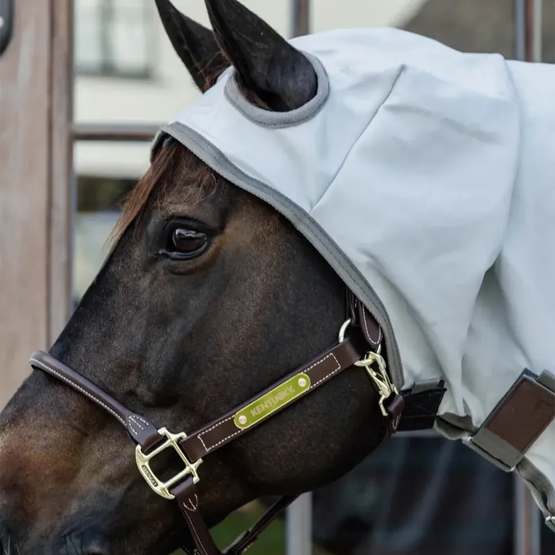 Kentucky Eczema Fixed Neck Fly Rug - Grey-2