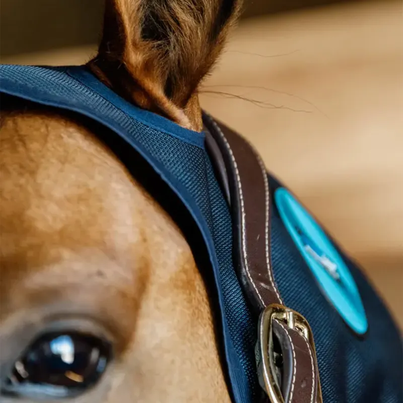 Kentucky Magnetic Recuptex Neck Protector - Navy-2