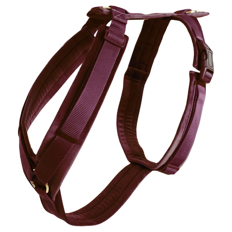 Kentucky Velvet Active Dog Harness - Bordeaux-1