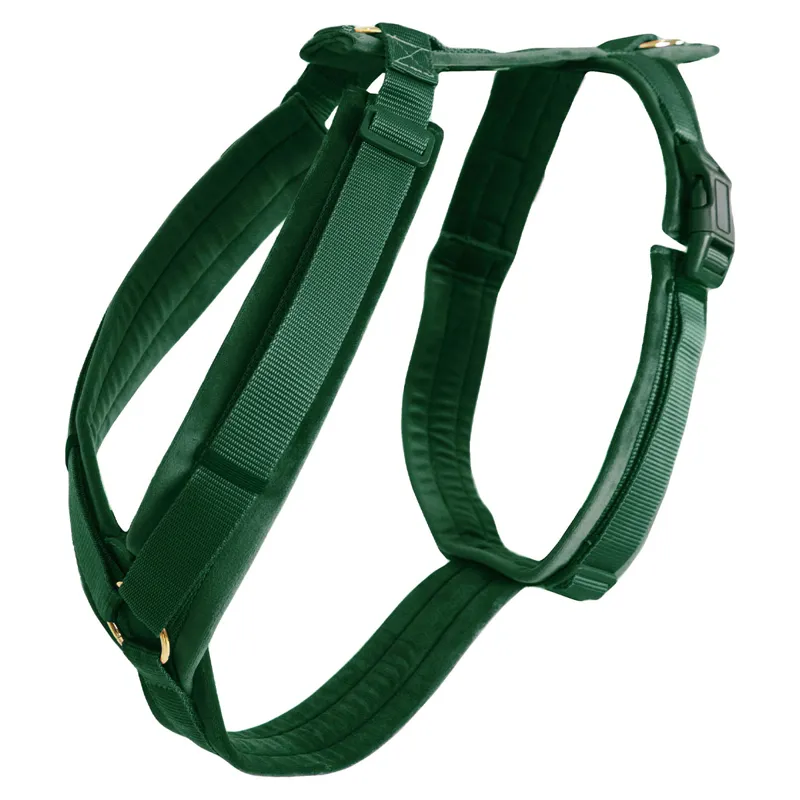 Kentucky Velvet Active Dog Harness - Pine Green-2