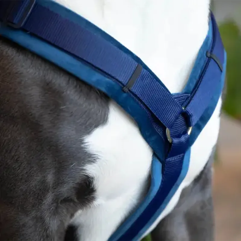 Kentucky Velvet Active Dog Harness - Navy-3