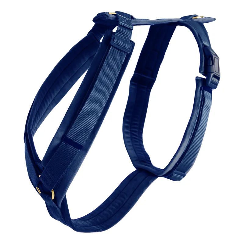 Kentucky Velvet Active Dog Harness - Navy-1