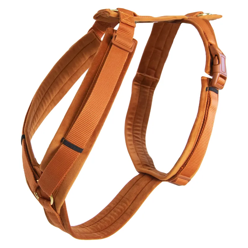 Kentucky Velvet Active Dog Harness - Orange-2