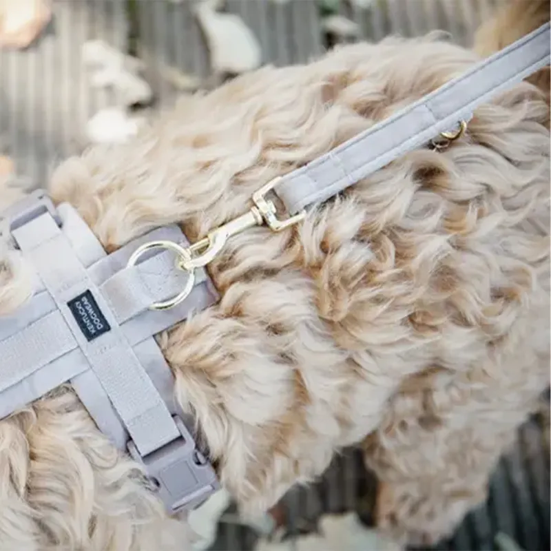 Kentucky Velvet Dog Lead - Beige-3