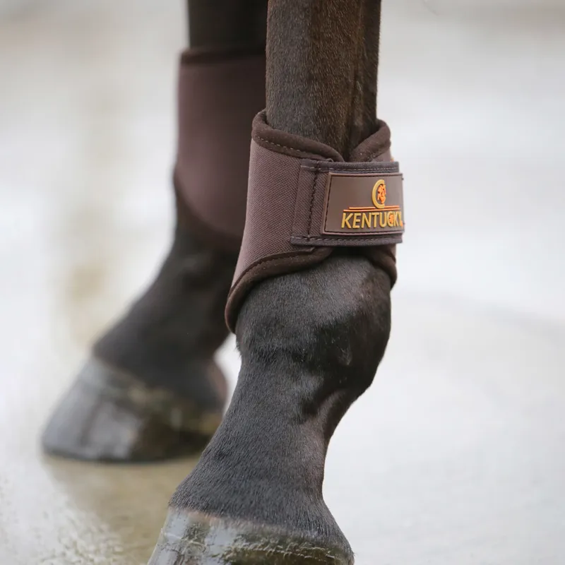 Kentucky 3D Spacer Short Hind Boots - Brown