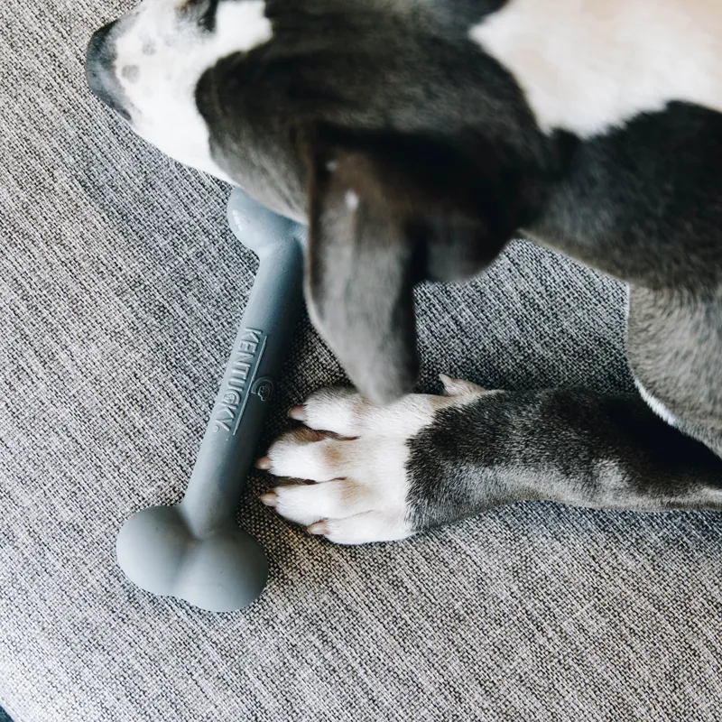 Kentucky Silicone Dog Bone Toy - Grey-3