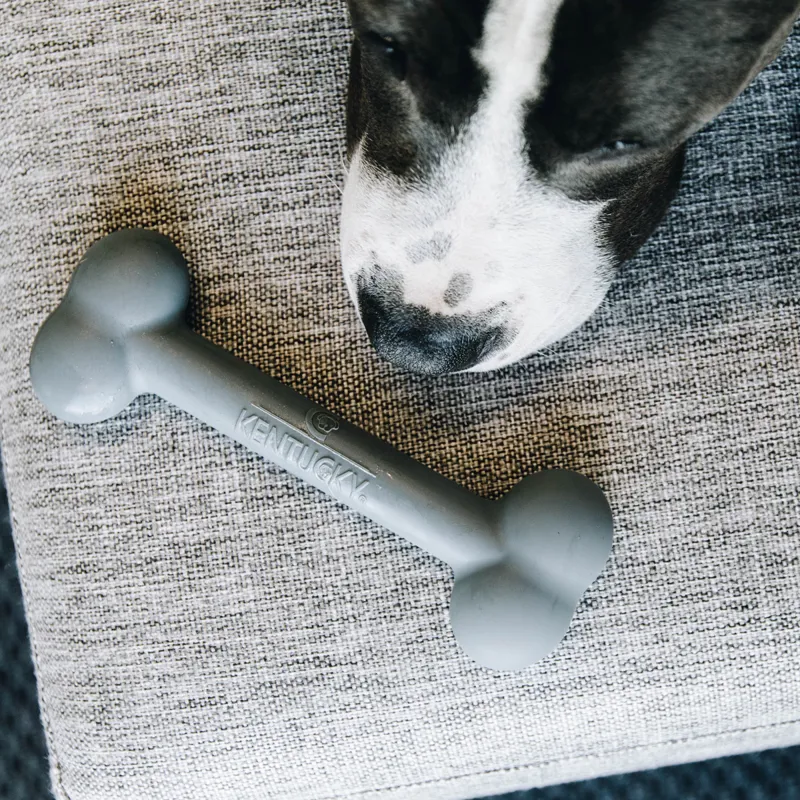 Kentucky Silicone Dog Bone Toy - Grey-4