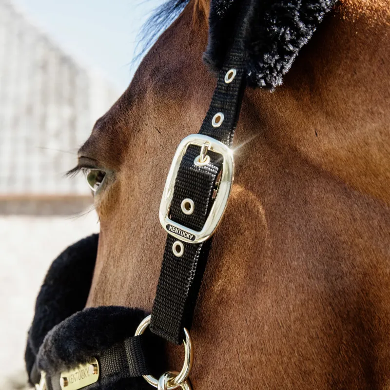 Kentucky Soft Nylon Sheepskin Headcollar - Black-2