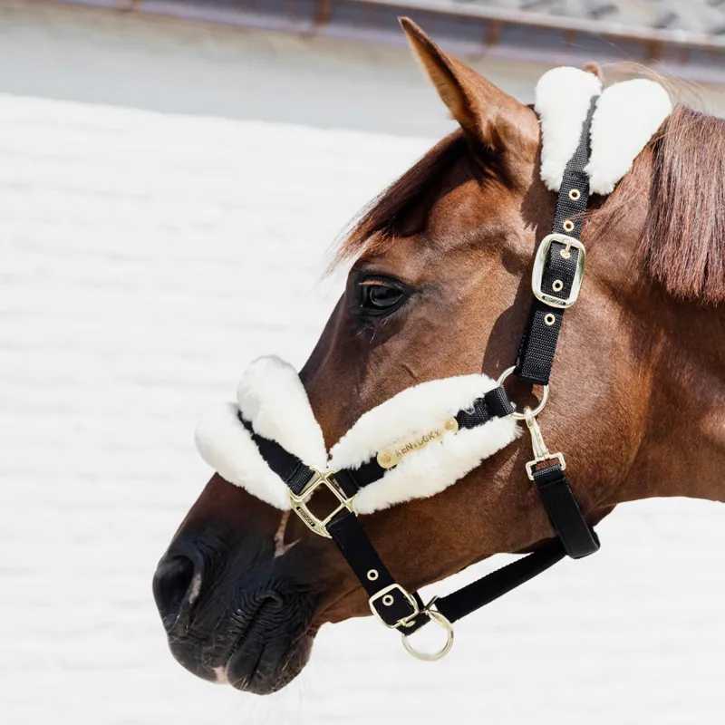 Kentucky Soft Nylon Sheepskin Headcollar - Natural