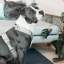 Kentucky Velvet Active Dog Harness - Beige