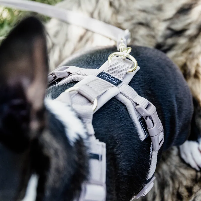 Kentucky Velvet Active Dog Harness - Beige-2