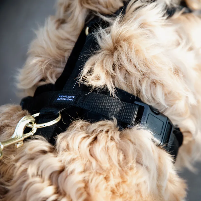 Kentucky Velvet Active Dog Harness - Black-4
