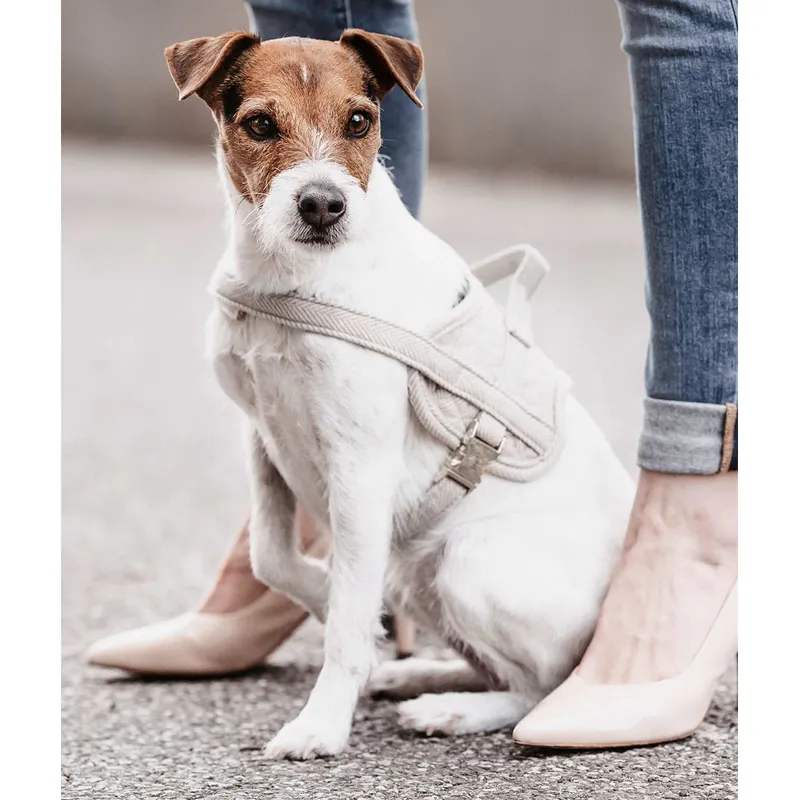Kentucky Body Safe Dog Harness - Beige-1