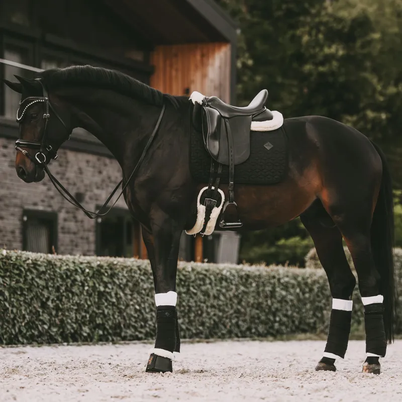 Kentucky Classic Dressage Saddlecloth - Black-7