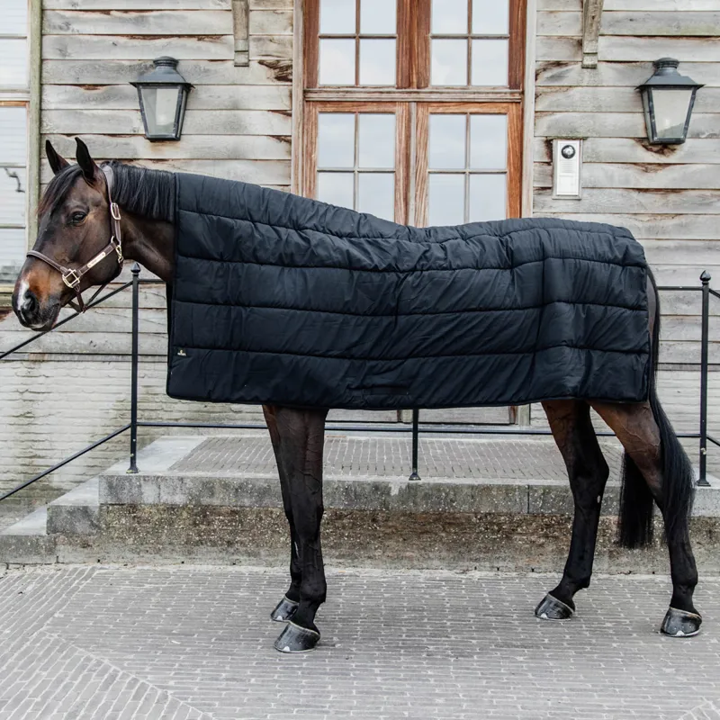 Kentucky 300g Horse Duvet - Black