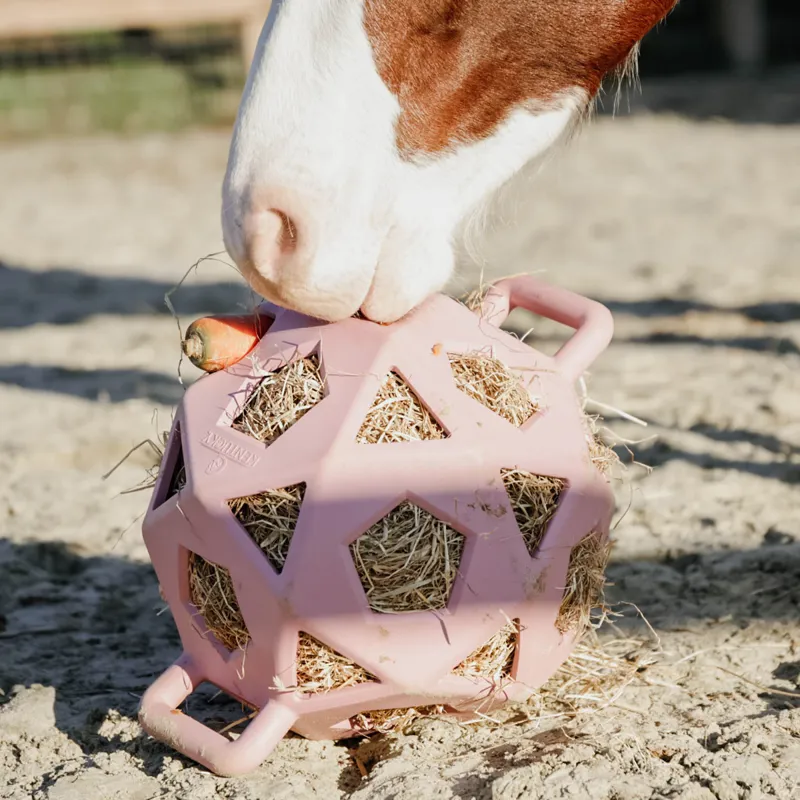 Horse play ball outlet