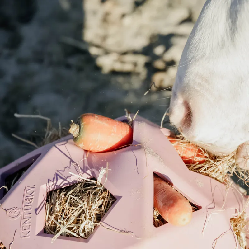 Kentucky Relax Horse Play Hay Ball - Old Rose-1