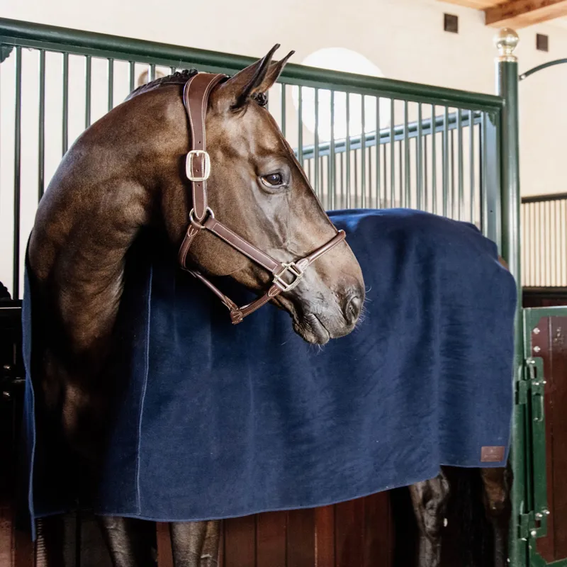 Kentucky Heavy Fleece Square Cooler Rug - Navy-1