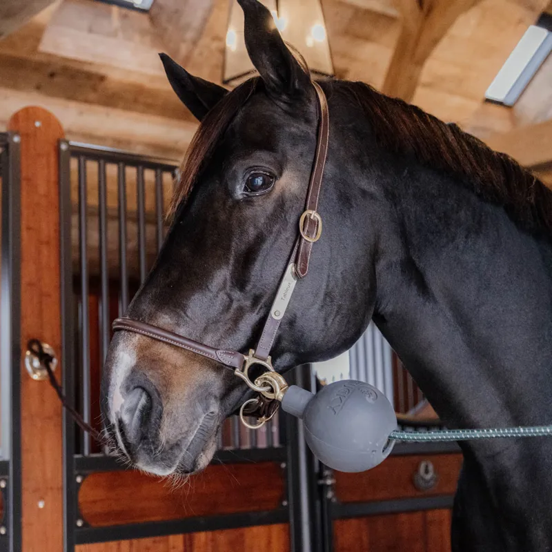 Kentucky Lead Rope Clip Protection Ball - Grey-1