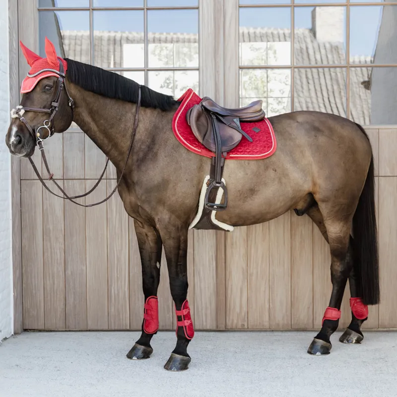 Kentucky Velvet Young Horse Fetlock Boots - Red-1